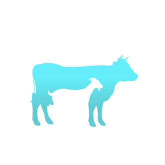 Коза&Корова