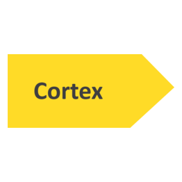 Кортекс
