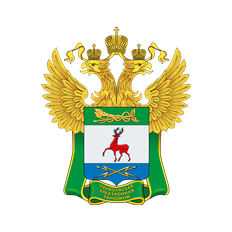 Приволжская Электронная Таможня