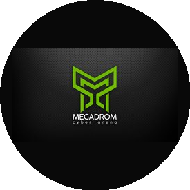 Мегадром (ИП Спирин Сергей Витальевич)