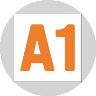 А1