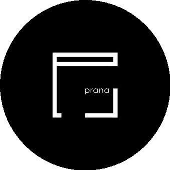 ПранаСтудио