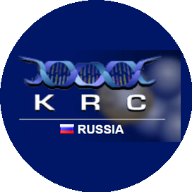 Дмитриева Анастасия Сергеевна