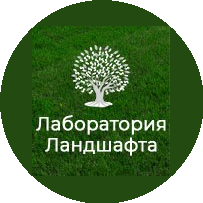 Сайко Юлия Олеговна