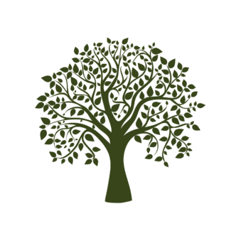 ЧОУ ДПО СПБЭИ