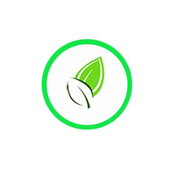 Кривопуст А.С.