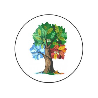 Детский центр коррекции и развития Жёлудь