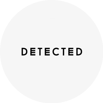 Detected Dress