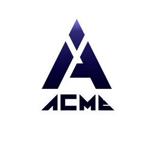 Acme investition