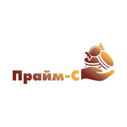 Бриф Плюс