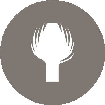 Краденый Артишок