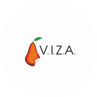 В.И.З.А. групп