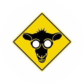 Elsheep team