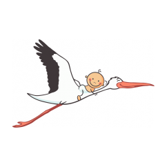 КГБУЗ Алтайский Краевой Клинический Центр Охраны Материнства и Детства