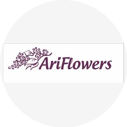 АриФловерс