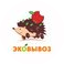 Эковывоз