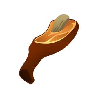 Roasted Ox Leg