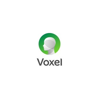 Voxel