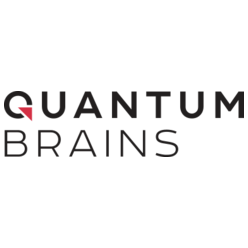 Quantum Brains