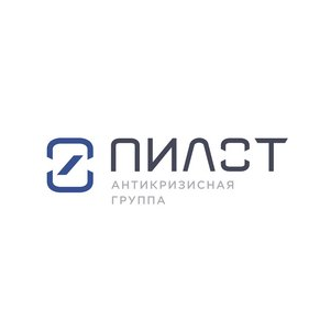 Антикризисная группа Пилот