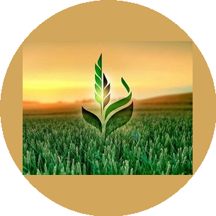 Сельскохозяйственная экспортная корпорация