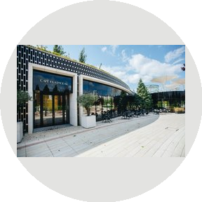 Миксология