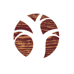 Институт Проектирования Аркона