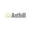 Anthill Studio