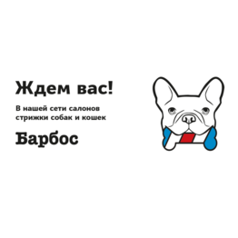 Фалалеева Дарья Александровна