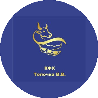 Глава КФХ Толочка Василий Васильевич