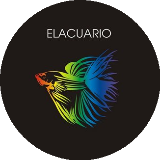ELACUARIO