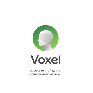 Voxel (ООО Аксиома-31)