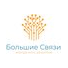 Большие Связи