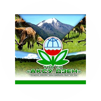 СОВМЕСТНОЕ ПРЕДПРИЯТИЕ АКСУ-ДЭЕН