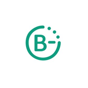 BGO Group