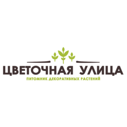Цветочная улица, ФХ