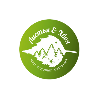 Королькова Анастасия Николаевна