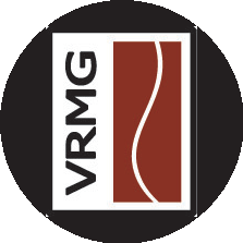 Визао Консалтинг, Компания