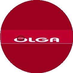 Ольга-лимузин