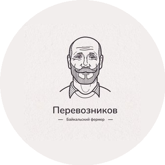 Perevoznikov.com