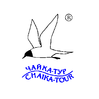 Чайка-Тур