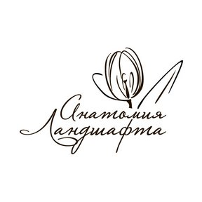 Анатомия Ландшафта