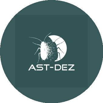 Дезслужба Астаны