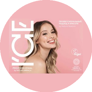 ICE Professional (ИП Загитов Артем Айдарович)