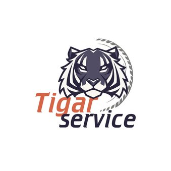 СТО Tigar Service