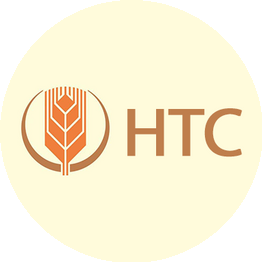 Новые Транспортные Системы