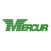 Меркур Холдинг