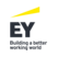 EY (Ernst & Young)