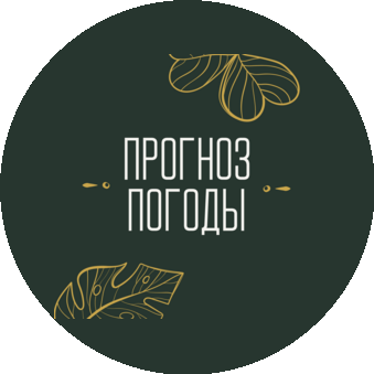 Ресторан Прогноз Погоды
