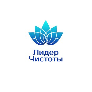 Лидер Чистоты